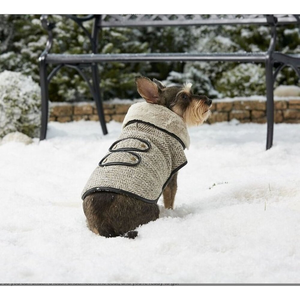 Frisco Manhattan Tweed Jacket For Dogs Large Faux Fur Lining Herringbone Design - Picture 2 of 9